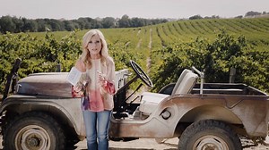 9.2K views · 253 reactions | Give your loved ones the gift of flourishing this Christmas! Get your signature edition of Chasing Vines at ChristianBook.com and receive bonus content with your copy. And don't miss your chance to be a part of the preorder community with your purchase of Chasing Vines. Visit ChasingVines.com for more details! | Living Proof Ministries with Beth Moore | Facebook