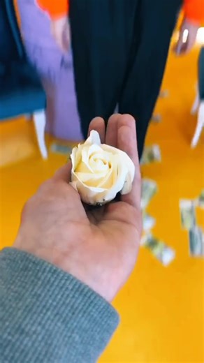 Exploring the Beauty of a White Rose