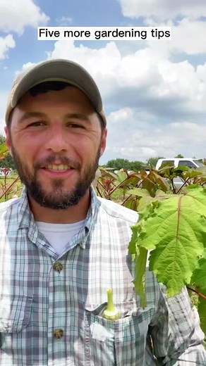 Okra tips at Hope Farms HTX with Recipe for Success Foundation #okra #ladyfingers #friedokra #gardening | Farmer Froberg