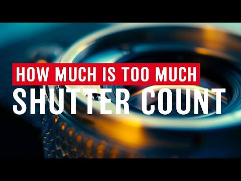 How Much Is Too Much Shutter Count?