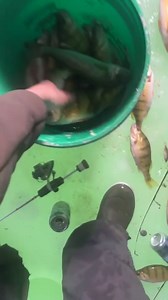 42K views · 282 reactions | Videos from the guys out scouting! Looks like ice fishing is here to stay and the bites look promising. We will be starting guiding next week being so early we are taking atv trips for 10 days than starting snobear trips. Call 6052017299 | South Dakota Fishing Guide | Facebook