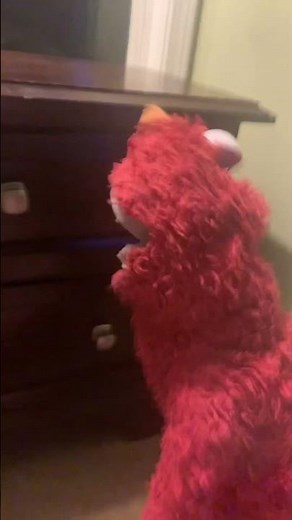 elmo world fish quiz