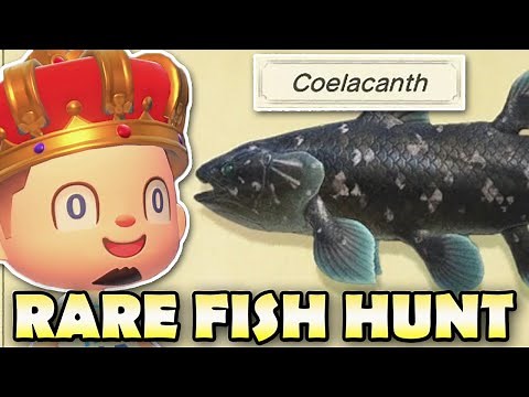 🐟 COELACANTH HUNT! Animal Crossing New Horizons RARE FISH HUNT!