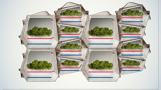 This Modular Green Wall System Generates Electricity From Moss