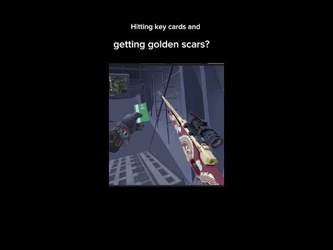 Me and Tiny pulled rare guns out of KEYCARDS in RESURGENCE