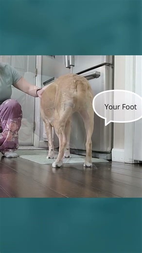 Cooperative Care doesn't have to be PERFECT