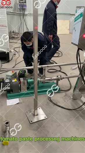 Tomato Paste Processing Line #machine #food