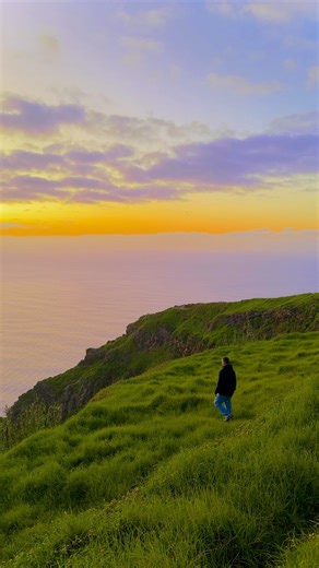 this and no plans | Martin Garrix