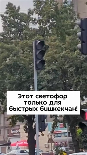 Pulse KG (@pulse.kg)’s videos with оригинальный звук - Pulse KG