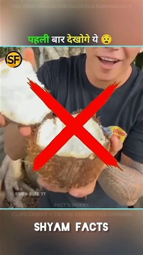 What is a sprouted coconut and why you should try it today?😮