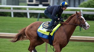 Free Brisnet past performances for 2019 Kentucky Derby contenders