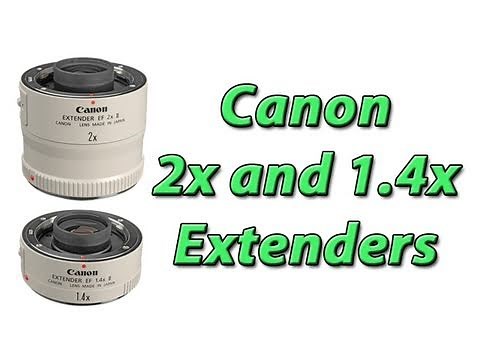 Canon 2x and 1.4x Extenders Photography Gear Review