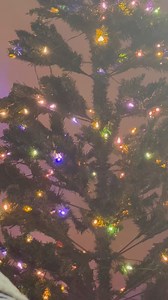 Merry!!! | Annie McCormick