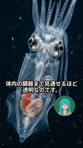 深海の究極ステルス！透明すぎるガラスイカの7つの謎🦑 #ガラスイカ #透明生物 #深海生物 #イカ