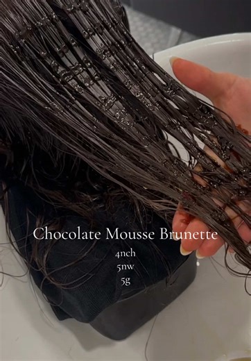 Save for your next rich brunette🤎🍫 #hair #azhairstylist #redken #brunette #toner @Redken Pro