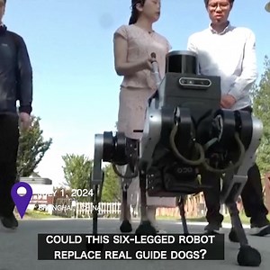 3.5K views · 59 reactions | WATCH VIDEO：Its developers in China think so, and hope the robot dog could one day help vision impaired people live a more independent life. The robot is currently being field-tested by the research team at Jiao Tong University in #Shanghai. | ShanghaiEye | Facebook