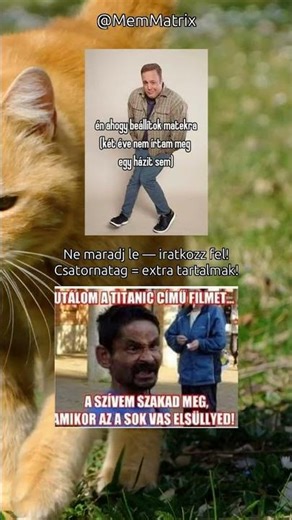 Legújabb Magyar Közéleti Mémek 😂 Kommentháború #shorts