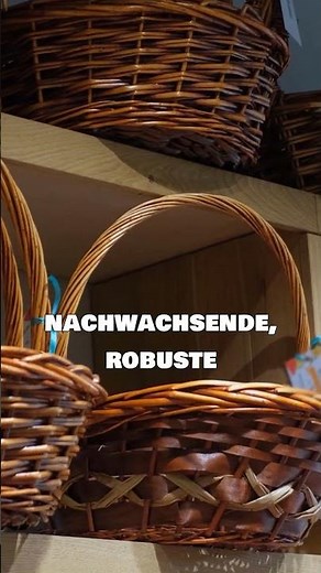 🎍 Bambus – Die unglaublich schnell wachsende und nachhaltige Holzalternative! 🌱