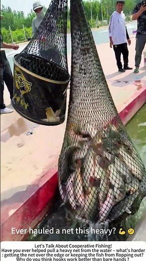 Hauling a Fish-Filled Net with Hooks – Team Strength 🎣🌊