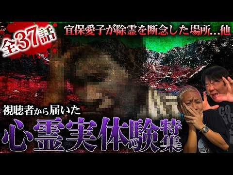 【全37話】恐怖の139分…リアルすぎる視聴者から届いた心霊実体験怪談SP【ナナフシギ】【怖い話】【生フシギ総集編71】
