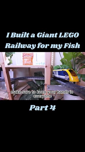 Part 4 I Built a Giant LEGO Railway for my Fish
