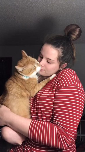 POV: you’re the guy that said cats were evil and I’m going to show yku