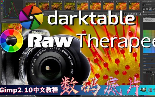 Gimp里打开与编辑RAW 数字底片:Darktable, RawTherapee