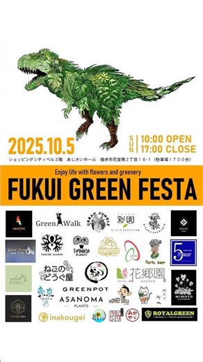 The latest clear pot scooping festival for houseplants! #CatChips #CatTools #Plants #CatClimbingBar