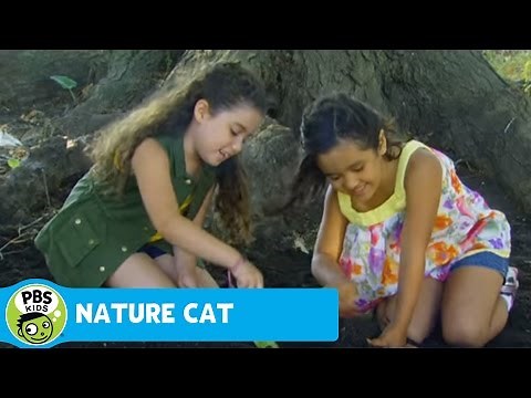 NATURE CAT | Dirt | PBS KIDS