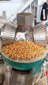 13K views · 33 reactions | Maximize your feed production with our...