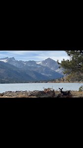 4.8K views · 220 reactions | Hello Twin Lakes just up the road from Bridgeport, CA where we spotted some mule deer along with a little snow up in the mountains. There’s upper and lower Twin Lakes with awesome fishing and camping in the summer months. Enjoy the views! | Adventures With Jeff Martinez | Facebook