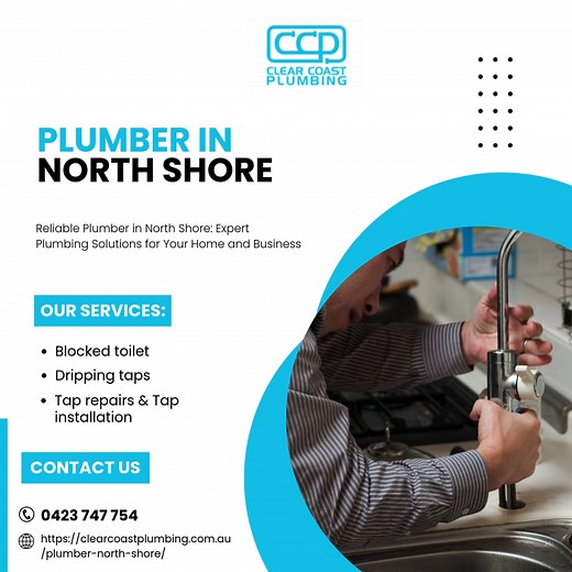 Reliable Plumber in North Shore: Expert Plumbing Solutions for Your Home and Business