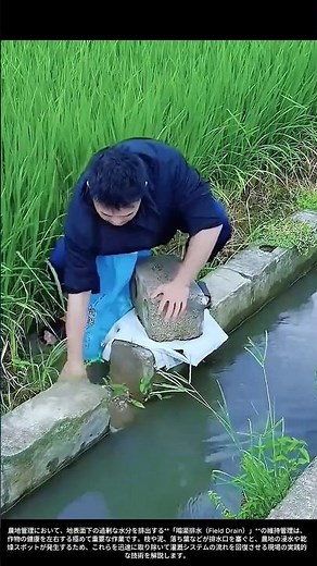 【現場の技術】暗渠排水の詰まり解消：大地の呼吸を取り戻す「水管理」の極意