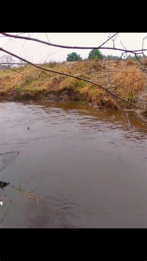 Extreme Beaver Dam Removal – Heavy Equipment Edition! #beaverdamremoval | The Video Corner