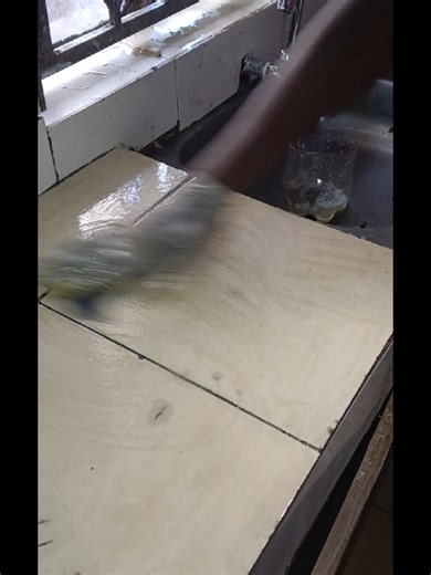 POV: You’re moving into your new house… 🏠😮‍💨 Then you see this sink 👀 ❌ Paint stains ❌ Rust marks ❌ Dark stubborn spots First thought: “Hii nitatoa aje?” 😭 Solution? Tile Revive Lavenda 🧼✨ Apply → wait kidogo → scrub And just like that… new-house vibes restored 😮‍💨🔥 ✔️ Removes paint, rust & tough stains ✔️ Safe on tiles & sinks ✔️ Fresh lavender smell 🌸 ✔️ Eco-friendly & powerful Don’t repaint. Revive. 📞 Order: 0758 804 676 🚚 Free delivery #POVMovingIn #NewHouseKE #SinkCleaning #Tile