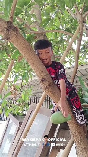 Met pelem #lucu #memengakakkocak #comedy #ngakak #funny #wagepak