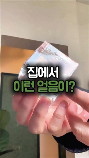 집에서 이런 얼음이 나온다고요? (진짜 놀람)