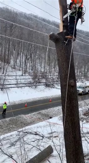 WHEN STORM RECOVERY PUSHES THE LIMIT CREWS FACE A RAZOR-THIN MARGIN IN CHARLESTON, WEST VIRGINIA ⚠️🌲⚡ With power outages affecting parts of Charleston, West Virginia, storm recovery crews have been working around the clock to clear fallen trees, reopen roads, and restore electricity to homes left without service. But this video highlights a difficult reality of disaster response: the work itself carries serious risk, and conditions don’t always cooperate. In the footage, a worker is seen cuttin