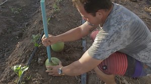 72K views · 2.7K reactions | Sigam o jaja no instagram @Jadielsonjoaquim | Jaja | Facebook