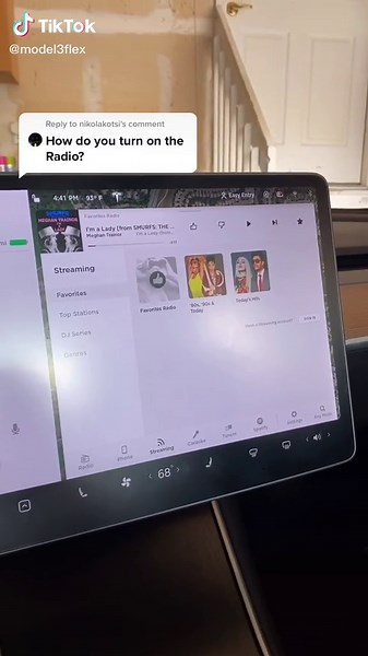Exploring Tesla Model 3 Voice Commands with a Funny Twist