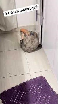 Although it might challenge your thinking a bit at first glance, you soon realize it. #shorts