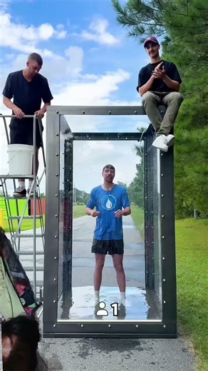 Mr beast Phoolon ka design