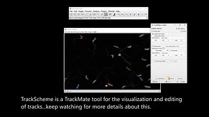 ImageJ使用 TrackMate 跟踪非圆形物体