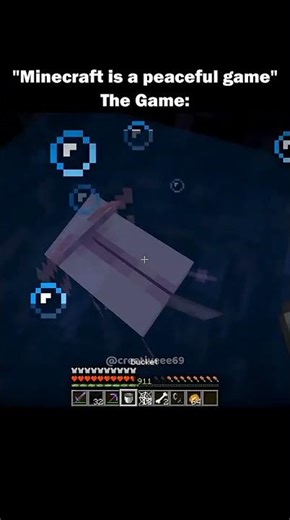 So Peaceful 😂 | Minecraft | Hero op | #minecraft #heroop