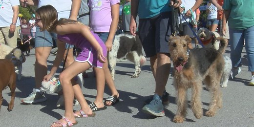 2023 Mutt Strut is a furry fiesta