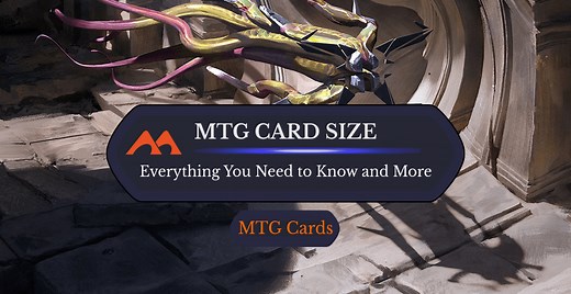 MTG Card Size/Dimensions, Weight, and Much Much More