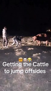 3.4K views · 6.7K reactions |  Steak Lewis | Michael Robinson Jr. | Facebook