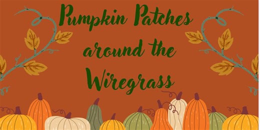 Pumpkin patches around the Wiregrass
