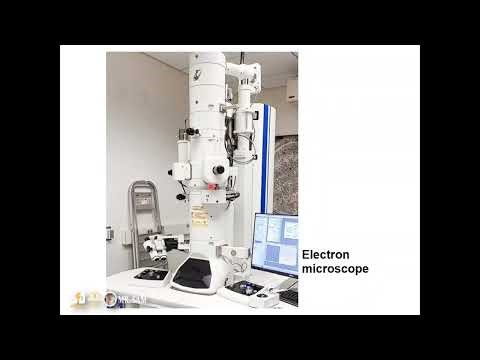 Introductory Biology: The Microscope | Types | Parts and functions