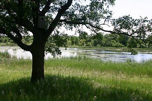 What It Is To Be Grounded